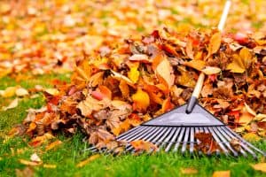 5 Common Scenarios Leading to Injuries in Autumn in Chicago