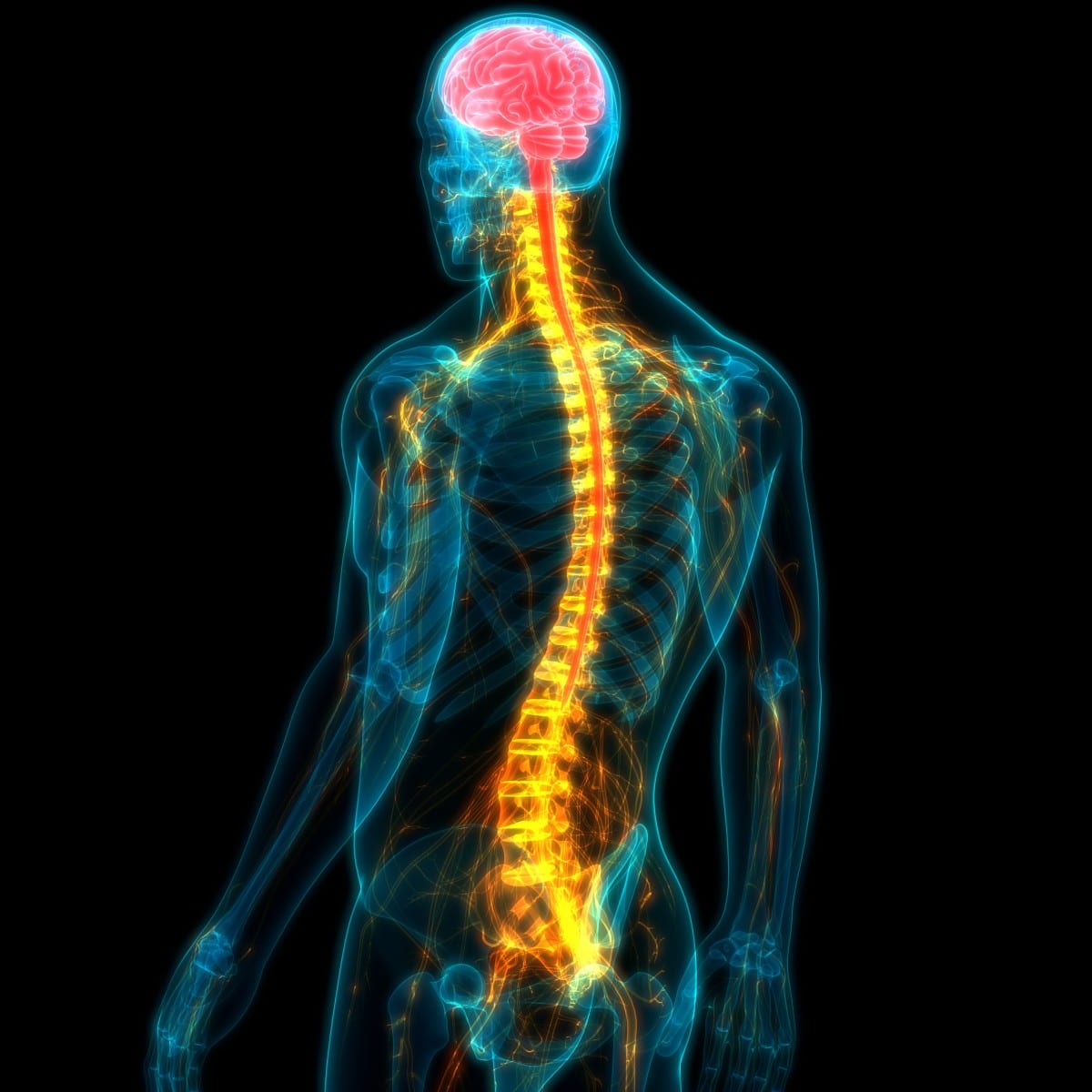 https://www.gainsberglaw.com/wp-content/uploads/2020/06/Spinal-Cord-Injuries-and-Hypotension.jpeg